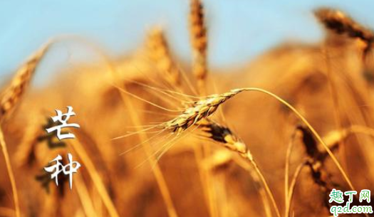 2021芒种是农历几月几日 2021年芒种后九天是什么时候