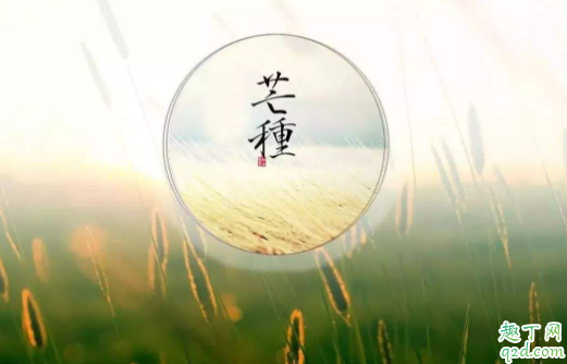 2021芒种适合结婚吗 2021年6月6日适合结婚么