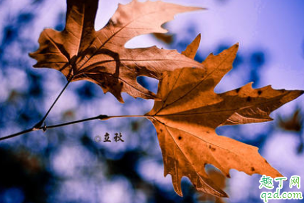 2021立秋还热不热 2021立秋后还要热多久