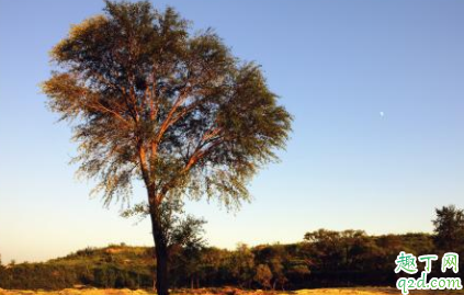 2021立秋还热不热 2021立秋后还要热多久