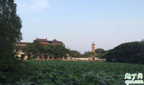 到普陀山到哪个码头坐轮渡 普陀山轮渡最后一班几点