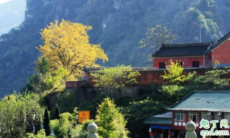 武当山不爬山都可以到吗 爬武当山一日游路线攻略