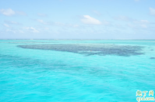 去斐济旅游什么时间合适多少钱 去斐济旅游自由行行程攻略