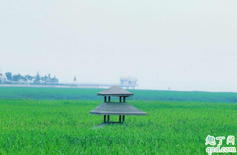 上海怎么去崇明岛最快 崇明岛旅游哪里好玩