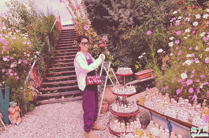 上锁的房间一周更新几集在哪看 上锁的房间具体更新时间