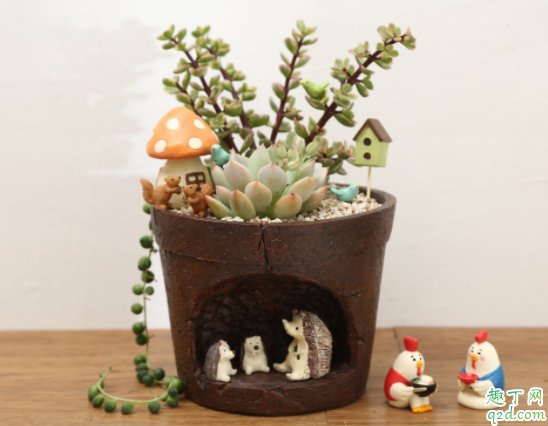 养花什么花盆最好 什么花盆透水透气好