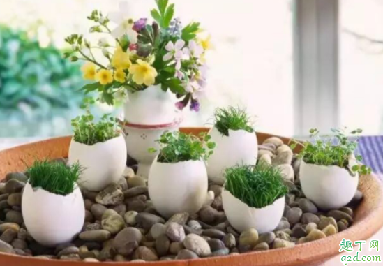 养花什么花盆最好 什么花盆透水透气好