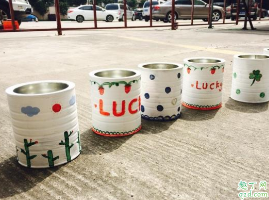 养花什么花盆最好 什么花盆透水透气好