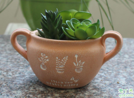 养花什么花盆最好 什么花盆透水透气好