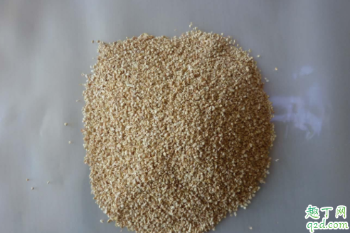 菊花定植用多大的花盆 玉米芯可以用来种花吗