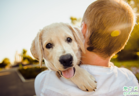 宠物狗一般容易有哪些病 养狗的人会得病吗