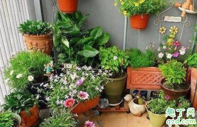 五十岁失业还能做什么 五十岁失业如何再就业