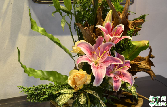 百合花容易养活不 怎么养百合花花期更长