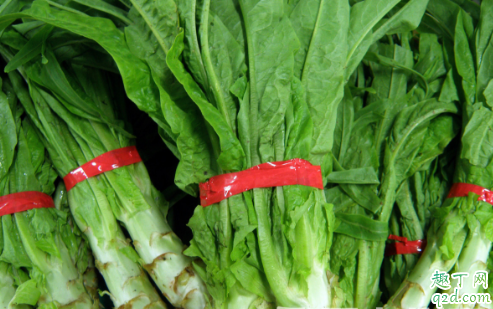 莴笋追肥是尿素好还是复合肥好 莴苣追肥有什么技巧