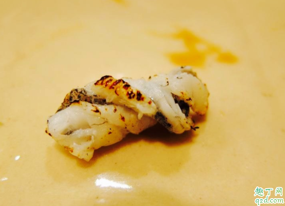 海螺怎么养到第二天 进货回来的海螺怎么养殖