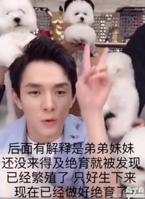 李佳琦家里是什么狗 李佳琪的狗是比熊吗