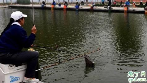 钓鲫鱼的饵料如何搭配酒米 这个季节鱼儿不开口怎么办