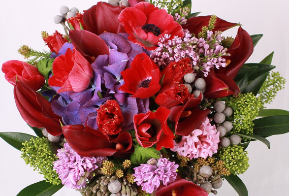 盆栽的郁金香好养吗 郁金香冬天露天养能行吗