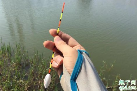 天气对钓鲫鱼有影响吗 阴天钓鲫鱼的小技巧有哪些