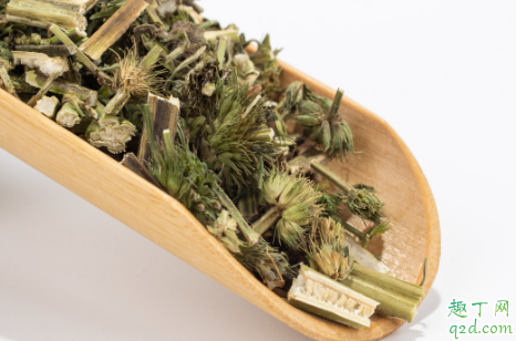 益母草放了一年还能熬吗 晒干的益母草可以放几年