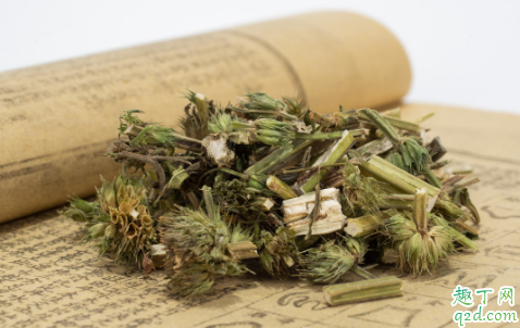 益母草放了一年还能熬吗 晒干的益母草可以放几年