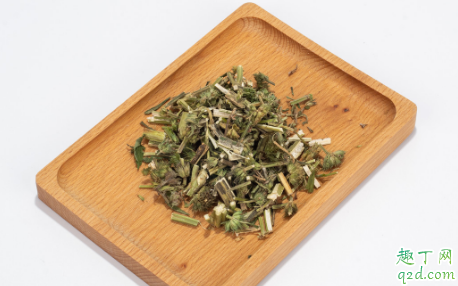 益母草放了一年还能熬吗 晒干的益母草可以放几年