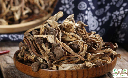 鹿角和鹿茸一样吗 鹿角和鹿茸的不同点在哪
