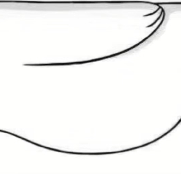 抖音朋友圈躺着的熊怎么发 抖音躺在朋友圈的熊图片分享