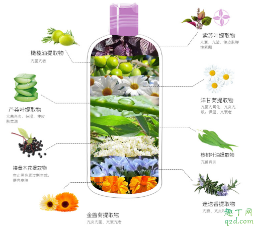 AKF紫苏卸妆水适合敏感肌吗 AKF紫苏卸妆水成分表