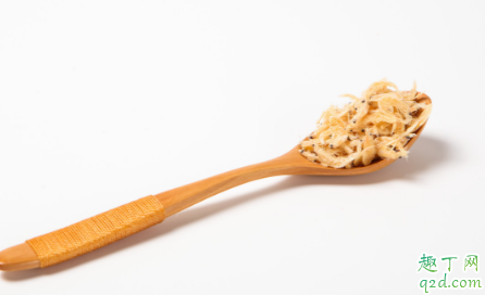 白色小虾米吃什么食物长大 小虾米怎么喂养比较好