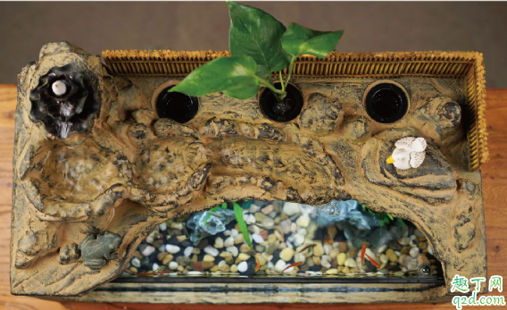 鱼缸老是浑水怎么办 鱼缸的表面很脏怎么清洗