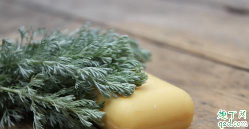 艾叶煮水泡脚能改善宫寒吗 艾叶煲水泡脚有什么效果