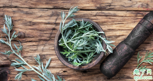 艾叶能直接做垫子吗 艾叶坐垫对经量少的人有没有帮助