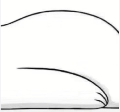 朋友圈小熊图为什么这么火 抖音朋友圈小熊升级版图片