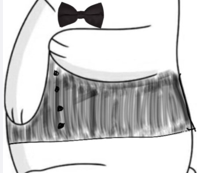 朋友圈小熊图为什么这么火 抖音朋友圈小熊升级版图片