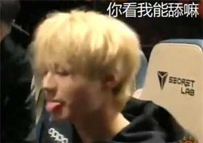 fpx表情包带字搞笑版 S9fpx夺冠表情图片