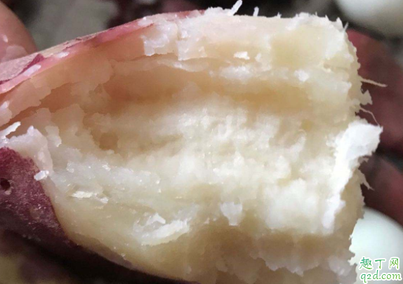 红薯有哪些种植方法 白心红薯是什么品种