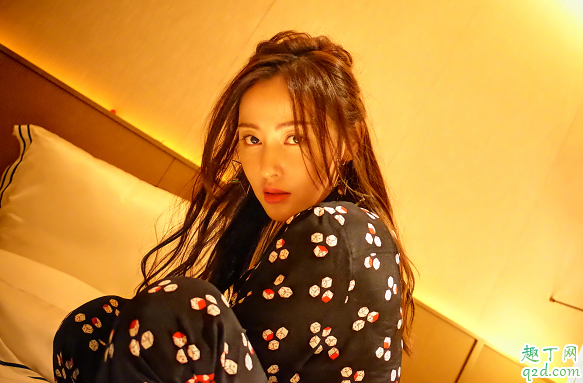 鳄鱼与牙签鸟何时播出在哪看 鳄鱼与牙签鸟具体更新时间