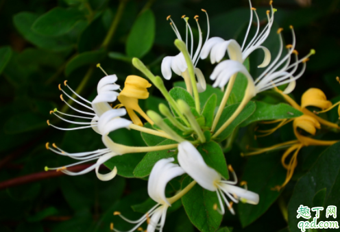 喉咙有异物感是咽炎吗 慢性咽炎有忌口吗