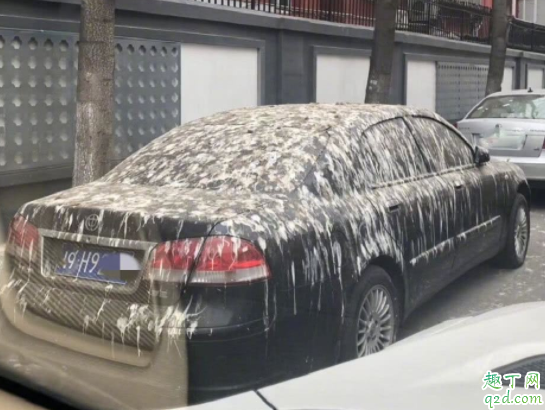 车前盖的鸟屎怎么清理 车前盖的鸟屎清理后有痕迹怎么办