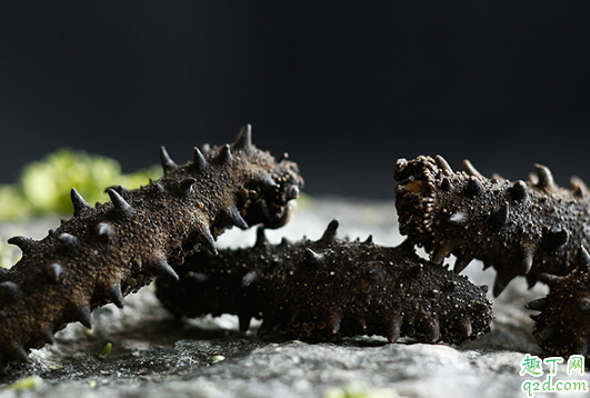 孕期如何吃海参才科学 怀孕吃海参最佳月份是多少