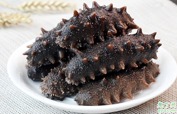 孕期如何吃海参才科学 怀孕吃海参最佳月份是多少