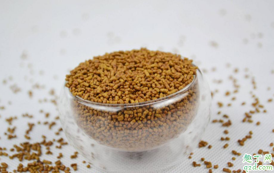 孕妇能不能喝荞麦茶 孕妇一次喝多少荞麦茶合适