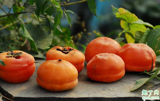 怀孕吃柿子会怎么样 怀孕一天吃几个柿子好