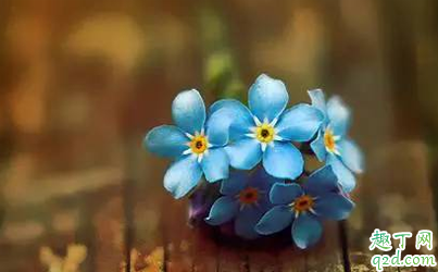 为什么越正直的人越一事无成 过于正直有什么不好吗