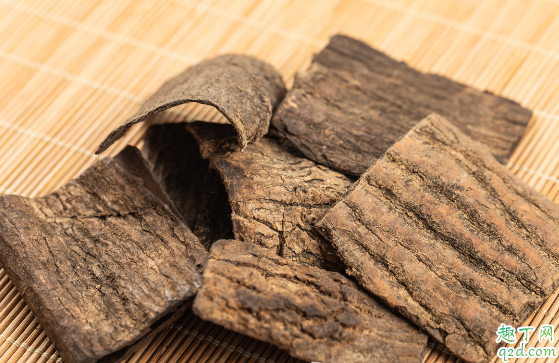 杜仲厚皮好还是薄皮好 用杜仲皮泡水对身体有啥益处