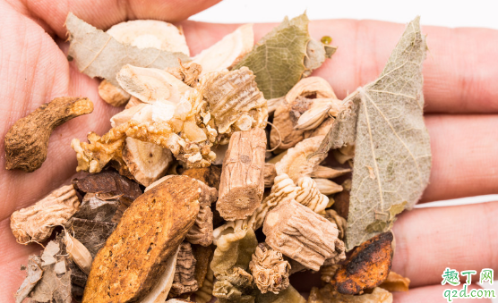 党参是不是人参类 补气用人参好还是党参好