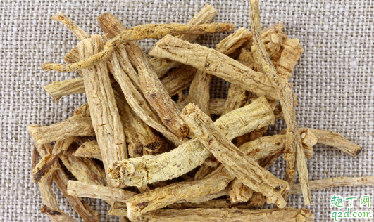 丹参和党参是一种中草药吗 丹参和党参差别在哪