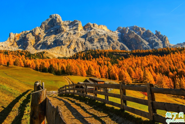 食道癌有没有可能治好 得了食道癌什么时候会痛吗