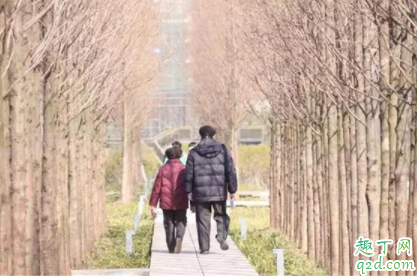 老夫老妻没有了感情应该怎么办 什么会消耗夫妻之间的感情